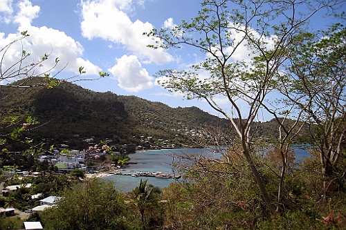 cruise14 (439)